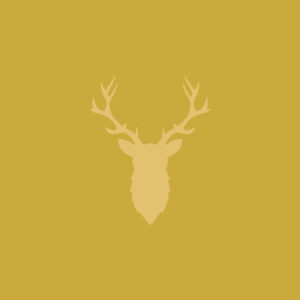 placeholder (no alt text because this image can be ignored by screenreaders)
